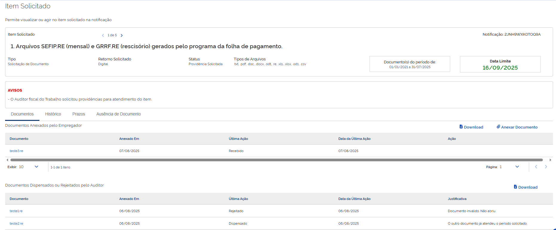 Tela do item solicitado com aviso e documentos analisados.
